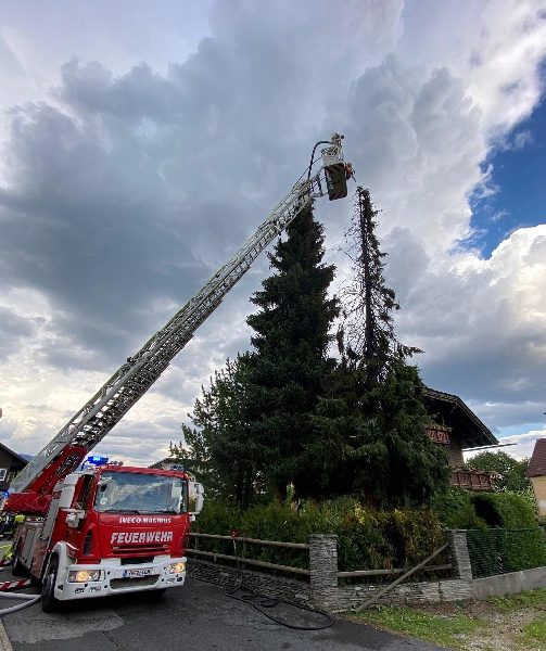 Brand einer 20 Meter hohen Fichte (Bild 1)